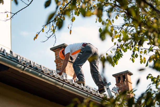 Quick and Trustworthy Emergency Roof Repair Services in Dilley, TX